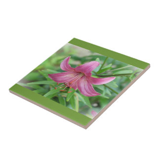 Pink Lily Decorative Tile
