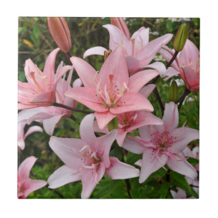 Pink lily floral beauty  ceramic tile