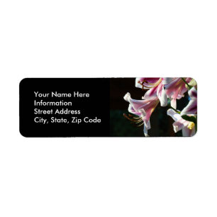 Pink Lily Flowers Address Labels custom Lilies