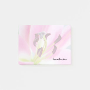 Pink Lily Notes
