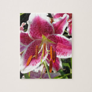 Pink lily pink floral pink flower tropical flower jigsaw puzzle
