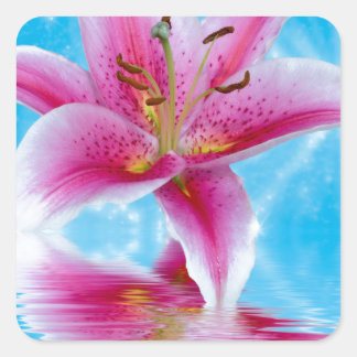 Pink Lily Sparkle Square Sticker