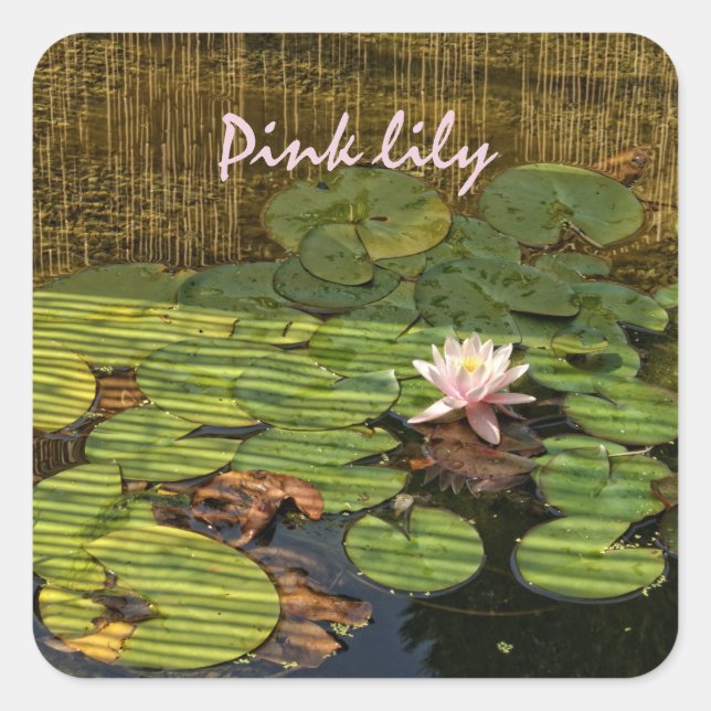 pink lily square stickers (Front)