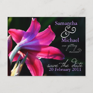 Pink Lily Wedding Save the Date Postcard