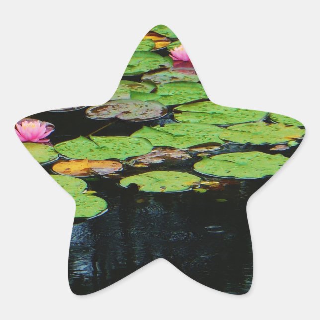 pink lotus black star sticker (Front)