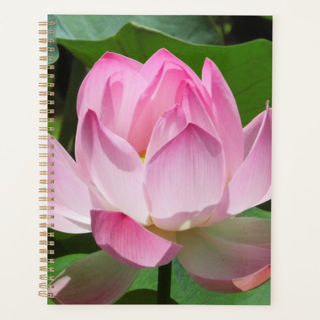 Pink Lotus Bloom Planner (Front)