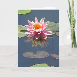 "Pink Lotus Blossom" greeting card