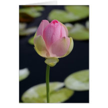 Pink Lotus Card
