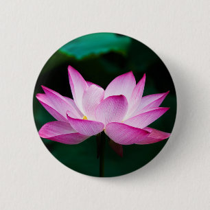 Pink Lotus Flower 6 Cm Round Badge