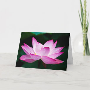 Pink Lotus Flower Card