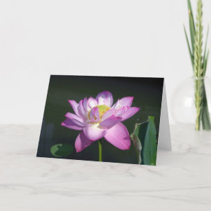 Pink Lotus Flower Card