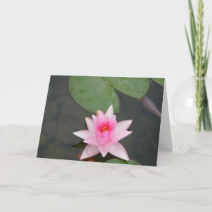Pink Lotus Flower Card