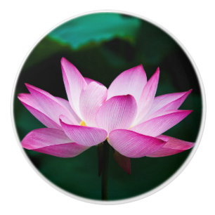 Pink Lotus Flower Ceramic Knob