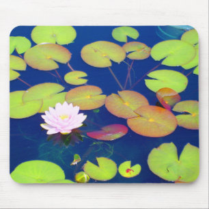 Pink Lotus Flower floating with lily pads on pond Mouse Pad