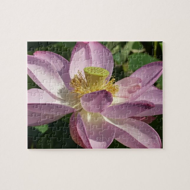 Pink Lotus Flower II Summer Floral Jigsaw Puzzle (Horizontal)