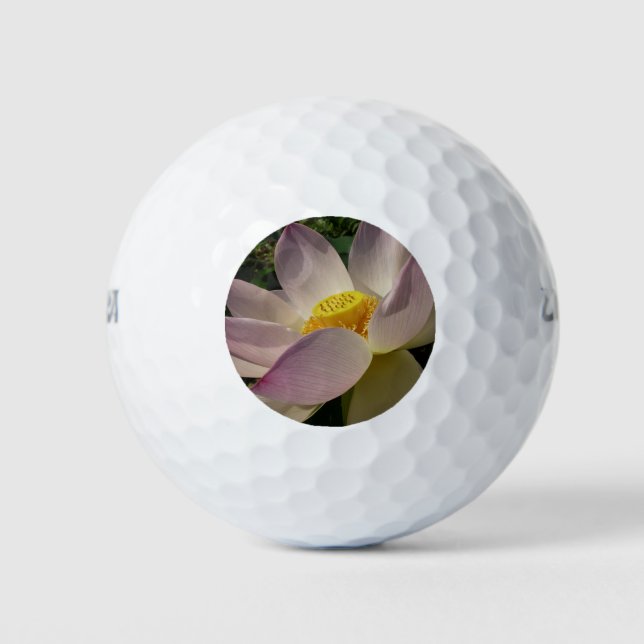 Pink Lotus Flower III Summer Floral Golf Balls (Front)
