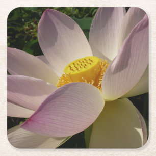 Pink Lotus Flower III Summer Floral Square Paper Coaster