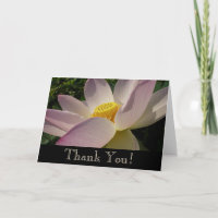 Pink Lotus Flower III Summer Floral