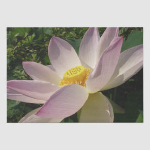 Pink Lotus Flower III Summer Floral Tissue Paper