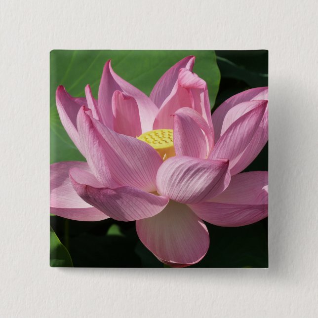 Pink Lotus Flower IV 15 Cm Square Badge (Front)