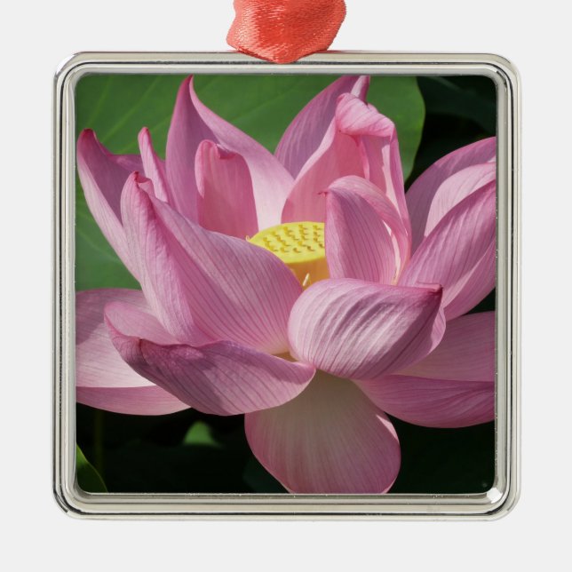 Pink Lotus Flower IV Metal Tree Decoration (Front)