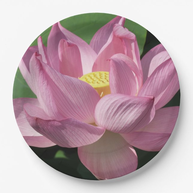 Pink Lotus Flower IV Paper Plate (Front)