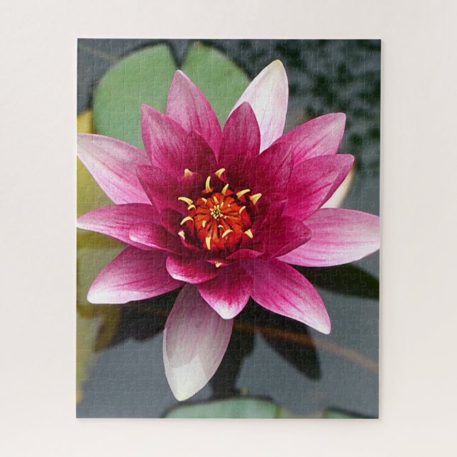Pink Lotus Flower  Jigsaw Puzzle (Vertical)