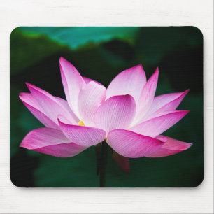 Pink Lotus Flower Mouse Pad