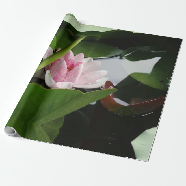 Pink Lotus Flower Photo Wrapping Paper (Unrolled)