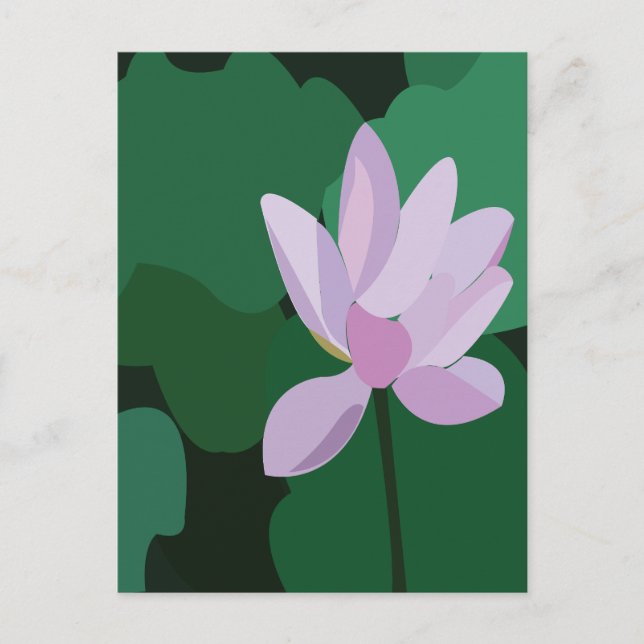 Pink Lotus Flower Postcard (Front)