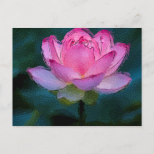 Pink Lotus Flower Postcard