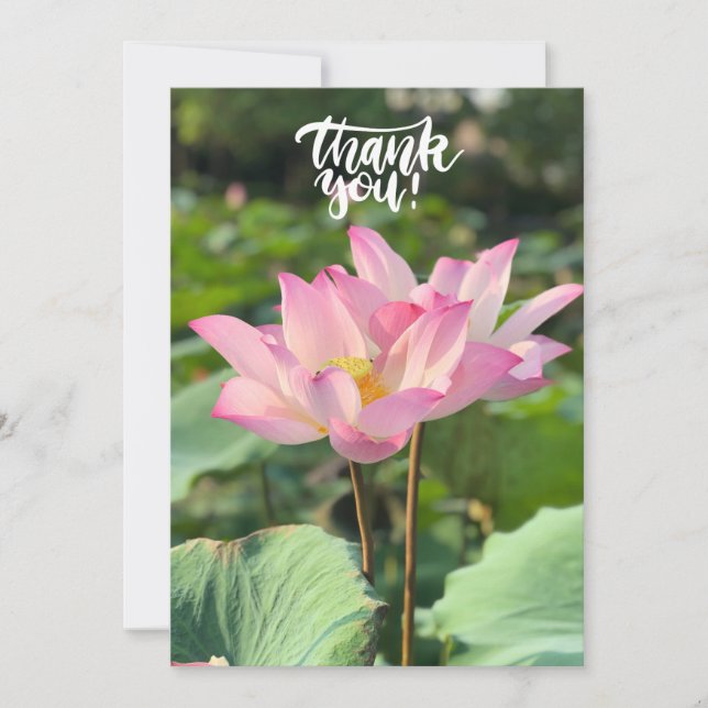 Pink Lotus Flower Thank you  Card (Front)