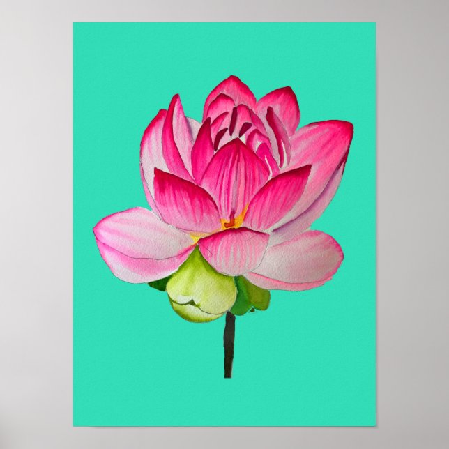 Pink lotus flower watercolor fine art poster (Front)