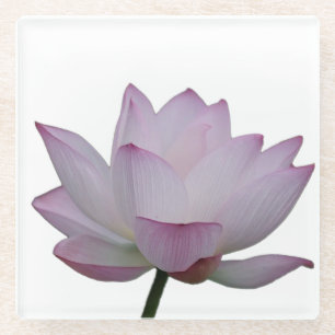 pink lotus flower wedding glass coaster