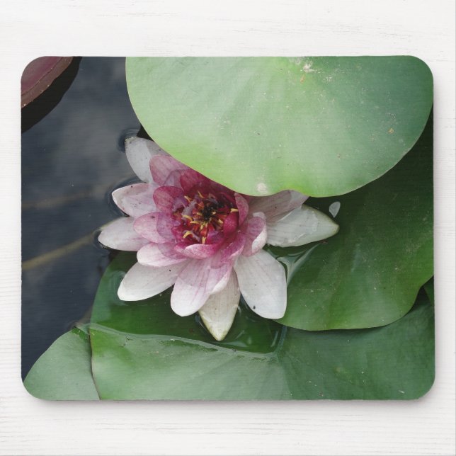 Pink Lotus Flwower  Mousepad (Front)