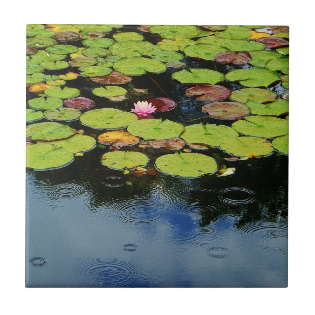 Pink lotus in Rain Ceramic Tile (Front)