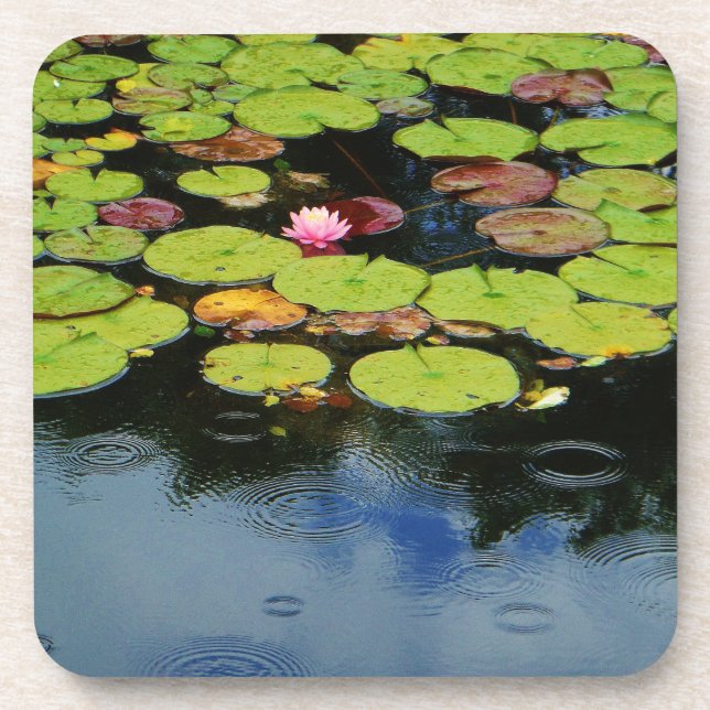 Pink lotus in Rain Coaster (Front)