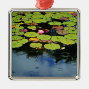 Pink lotus in Rain Metal Ornament