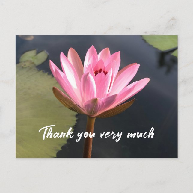 Pink  lotus in the pond  thank you card (Front)