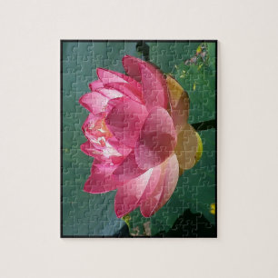 Pink Lotus - Puzzle