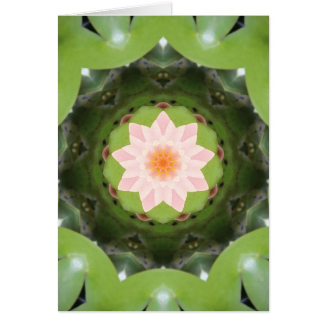 Pink Lotus Refraction (Front)