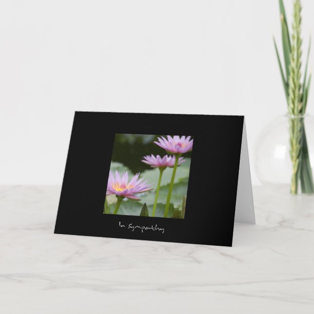 Pink Lotus • Sympathy Card (Front)