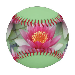Pink Lotus Water Lily Baseball