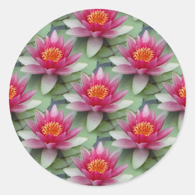 Pink Lotus Water Lily Classic Round Sticker (Front)