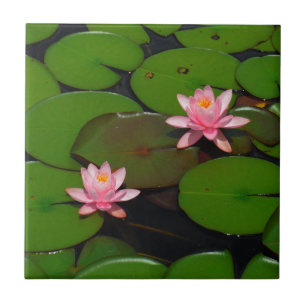 Pink lotus water lily flower  garden, ceramic tile