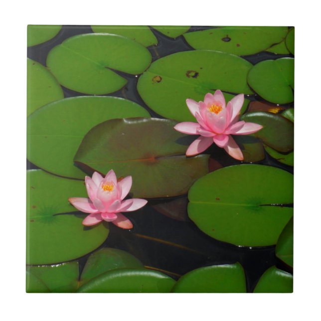 Pink lotus water lily flower  garden, ceramic tile (Front)