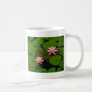 Pink lotus water lily flower  garden, coffee mug