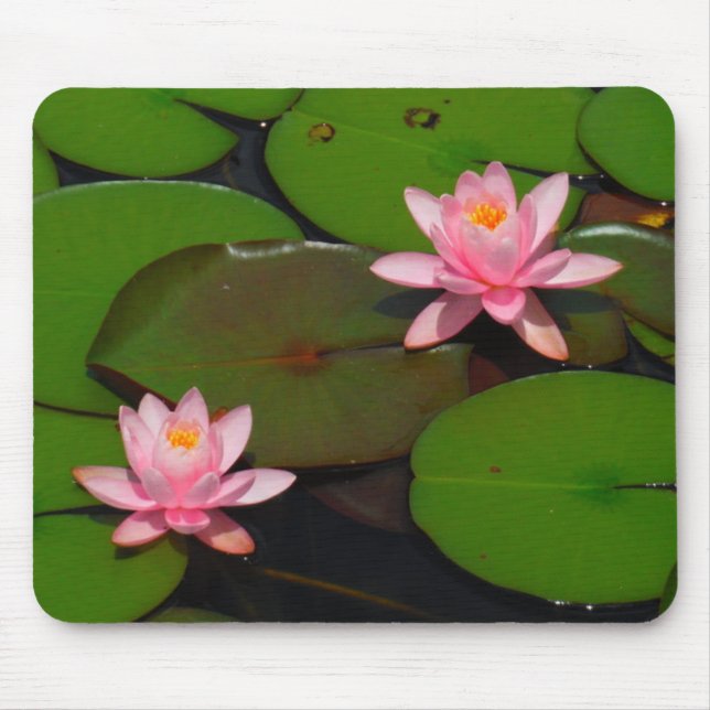 Pink lotus water lily flower  garden, mouse pad (Front)