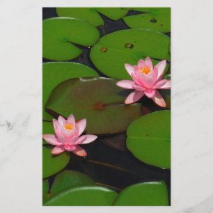 Pink lotus water lily flower garden, stationery