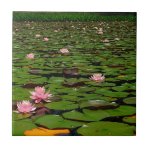Pink lotus water lily flower pond ceramic tile